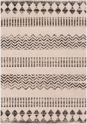 Livabliss Rafetus Machine Woven Polypropylene Area Rug Low Pile Modern Classic for Living Rooms ETS2340-5376