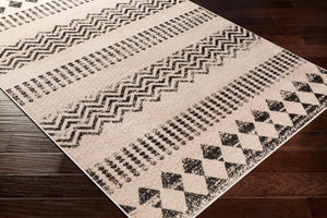 Livabliss Rafetus Machine Woven Polypropylene Area Rug Low Pile Modern Classic for Living Rooms ETS2340-5376