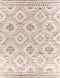 Rafetus ETS-2341 7'10" x 10'2" Machine Woven Rug ETS2341-710103 Livabliss Surya