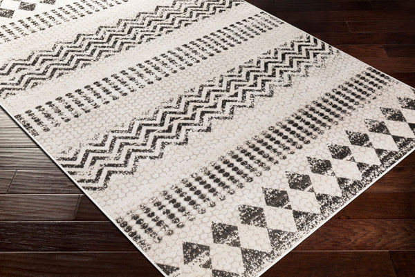 Livabliss Rafetus Machine Woven Polypropylene Indoor Rug Low Pile Modern Classic Living Room ETS2351-5376