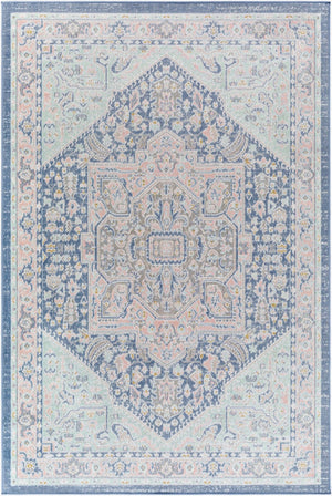 Livabliss Rafetus Traditional Pattern Polypropylene Indoor Rug for Entryway Hallway or Bedroom ETS2363-2211
