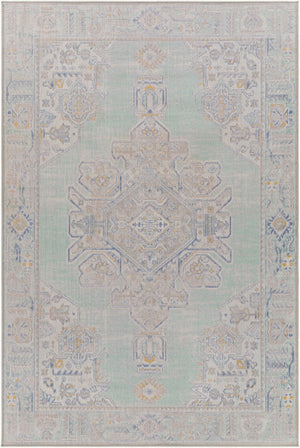 Livabliss Rafetus Machine Woven Polypropylene Rug Traditional Pattern for Entryways and Hallways ETS2364-2211