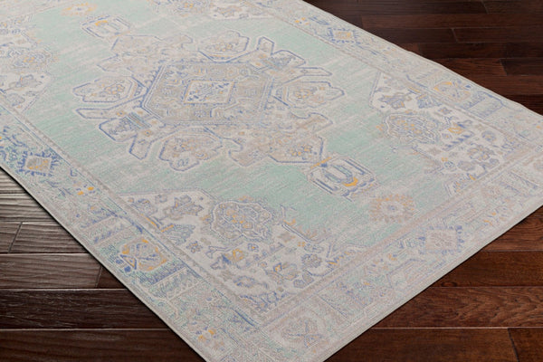 Livabliss Rafetus Machine Woven Polypropylene Rug Traditional Pattern for Entryways and Hallways ETS2364-2211
