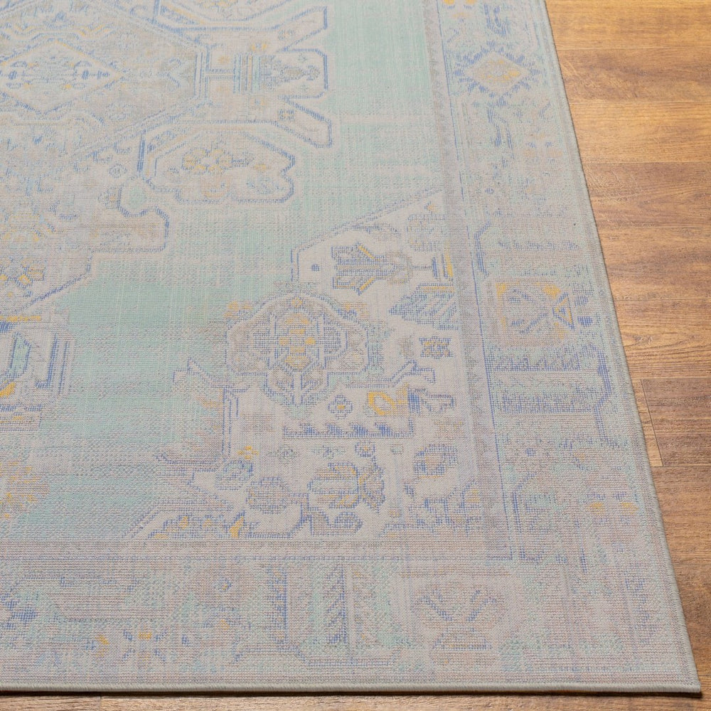 Livabliss Rafetus Machine Woven Polypropylene Rug Traditional Pattern for Entryways and Hallways ETS2364-2211