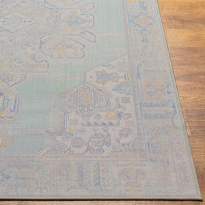 Livabliss Rafetus Machine Woven Polypropylene Rug Traditional Pattern for Entryways and Hallways ETS2364-2211