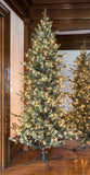 Park Hill Blue Spruce Slim Christmas Tree, 9' XPQ82166 Park Hill