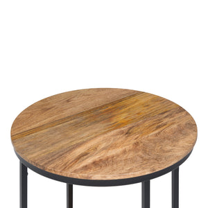 English Elm Jenna Handcrafted Round Side Table with Natural Mango Wood Top and Black Metal Frame, 24"H Light Brown B136P158984