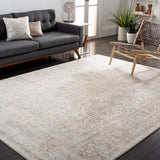 Safavieh Evoke 256 Power Loomed Transitional Rug EVK256E-5R