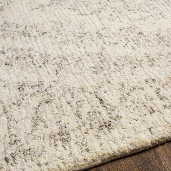 Surya Evolution Hand-tufted Wool Viscose Blend Area Rug with Dimensional Pile Texture EVL2300-23
