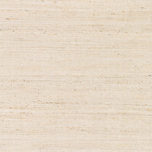 Evora EVO-2301 8' x 10' Handmade Rug EVO2301-810  Light Beige, Beige Surya