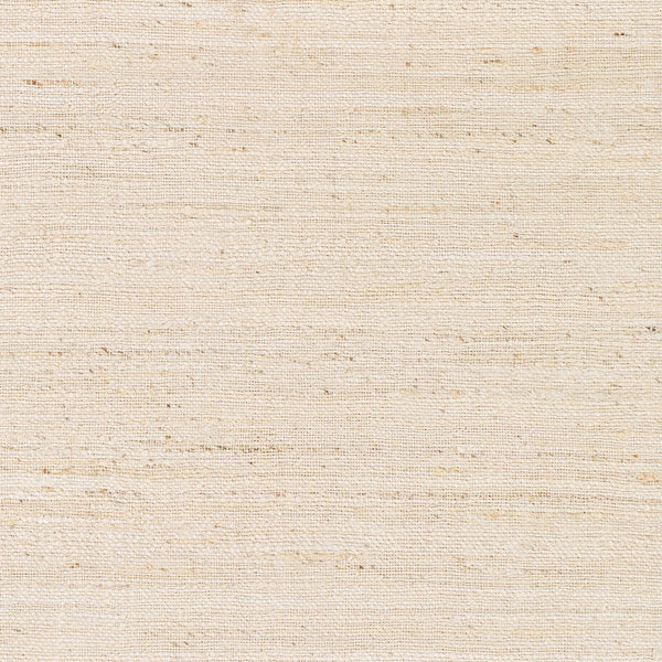 Evora EVO-2301 8' x 10' Handmade Rug EVO2301-810  Light Beige, Beige Surya