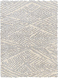 Everton Plus EVP-2305 7'10" x 9'6" Machine Woven Rug EVP2305-7996 Livabliss Surya