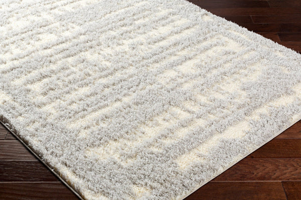 Livabliss Everton Plush Polypropylene Area Rug Turkey Woven Modern Pattern Living Room EVP2316-7996