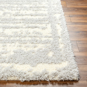 Livabliss Everton Plush Polypropylene Area Rug Turkey Woven Modern Pattern Living Room EVP2316-7996