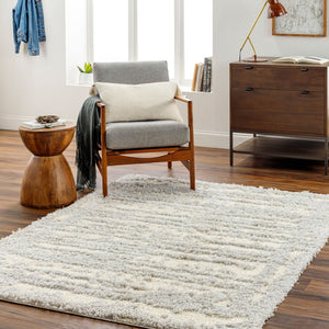 Livabliss Everton Plush Polypropylene Area Rug Turkey Woven Modern Pattern Living Room EVP2316-7996