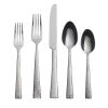 Lenox Oneida Cabria 5 Piece Fine Flatware Place Setting, Service for 1 Metallic, STAINLESS METAL F032005A