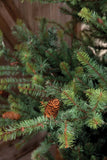 Park Hill Blue Spruce Slim Christmas Tree, 7.5' XPQ82170 Park Hill