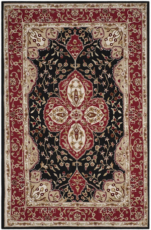 Safavieh Hardwick Hand Hooked Polypropylene Rug Black / Red EZC718B-3