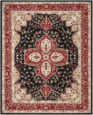 Safavieh Hardwick Hand Hooked Polypropylene Rug Black / Red EZC718B-3