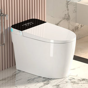 English Elm Smart Toilet with Auto Open Seat Heated Bidet Warm Dryer and Night Light W3133P384796