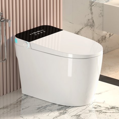 English Elm Smart Toilet with Auto Open Seat Heated Bidet Warm Dryer and Night Light W3133P384796