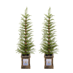 English Elm 4ft Pe Artificial Christmas Trees Set of 2 with Gold Potted Bases for Mantel or Entryway N769P351701G
