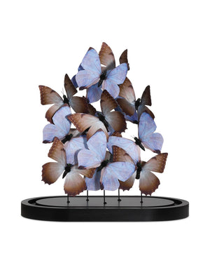 Currey & Company Rue De Bac Enchanting Medium Butterflies In Soft Blue & Pink - Elegantly Displayed Glass Dome Decor Blue Paper ,Engineered Wood ,Glass 1200-0977-currey-company