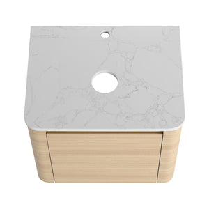 English Elm 24'' Wall-Mounted Bathroom Vanity With Artistic Ceramic Sink, Soft-Close Door & Space-Saving Design W999S00461