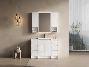 English Elm 48" Freestanding Bathroom Vanity With Resin Sink & Ample Storage, Soft-Close Doors, Glossy White Finish W999S00426