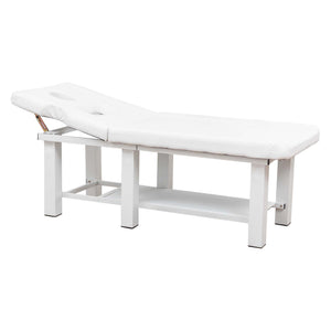 English Elm Spa Salon Massage Table Steel Frame Pu Leather Adjustable Backrest Bottom Shelf Storage W1422P382936