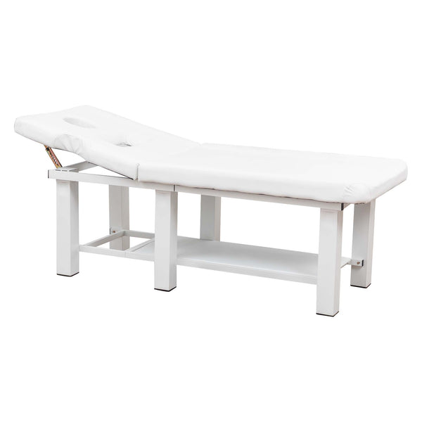 English Elm Spa Salon Massage Table Steel Frame Pu Leather Adjustable Backrest Bottom Shelf Storage W1422P382936
