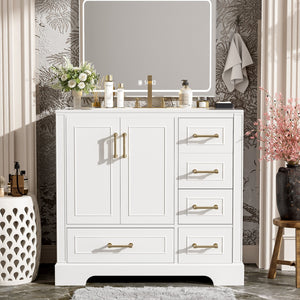 English Elm 36" Traditional Bathroom Vanity with Ceramic Sink, Solid Wood Cabinet, Soft-Close Doors & Drawers White N729P251630K
