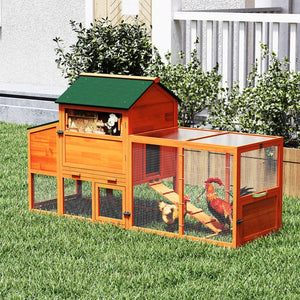English Elm Portable Pinewood Chicken Coop with Nesting Box Run and Wheels for Backyard Flocks Orange W2181P356215