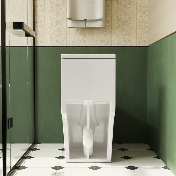 English Elm 1.1/1.6 Gpf Skirted One-piece Elongated Ceramic Toilet with Soft Close Seat Watersense B2724P246932