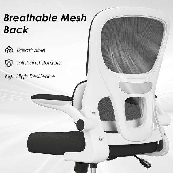 English Elm Soohow Mesh Ergonomic Office Chair with Lumbar Support, Flip Armrests, Breathable Comfort & Tilt Adjustability Black,White T3623P380860