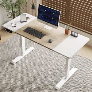 English Elm 55"×24" Electric Sit Stand Desk Steel Frame with Memory Presets and Usb-c Charging Port Oak Natural Wood + Antique White W614P376314