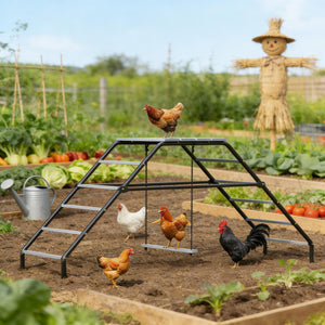 English Elm Chicken Coop Activity Station with 10 Perches Swing Platform and Steel Frame T3971P455214
