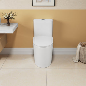 English Elm 1.1/1.6 Gpf Skirted One-piece Elongated Ceramic Toilet with Soft Close Seat Watersense B2724P246932