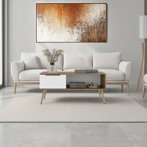 English Elm Scandinavian Minimalist Coffee Table with Storage Drawer Open Shelf Living Room B128P473973