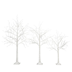 English Elm Set of Lighted Birch Tree with 216 Warm White LEDs, 3-Sizes 4/5/6FT, Indoor/Outdoor Romantic Decor N710P181843Y