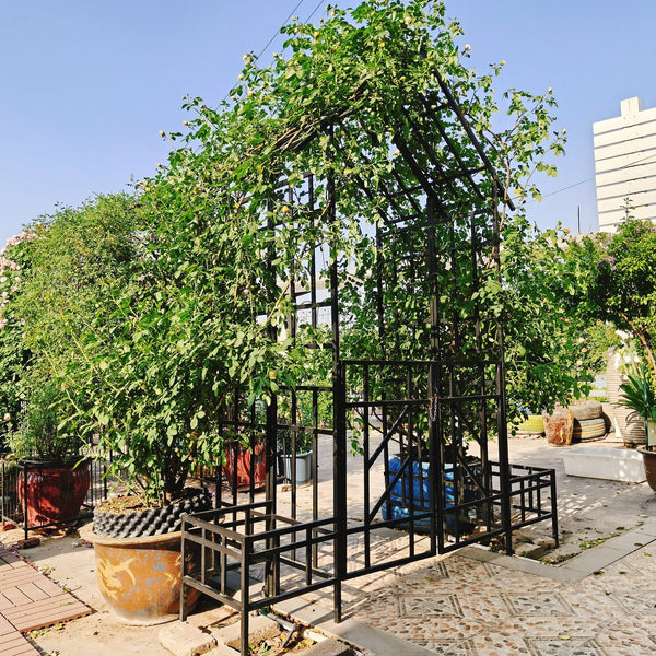 English Elm Metal Garden Arch Gate with Planters Powder Coated Steel Climbing Rose Trellis Outdoor W1586P278425