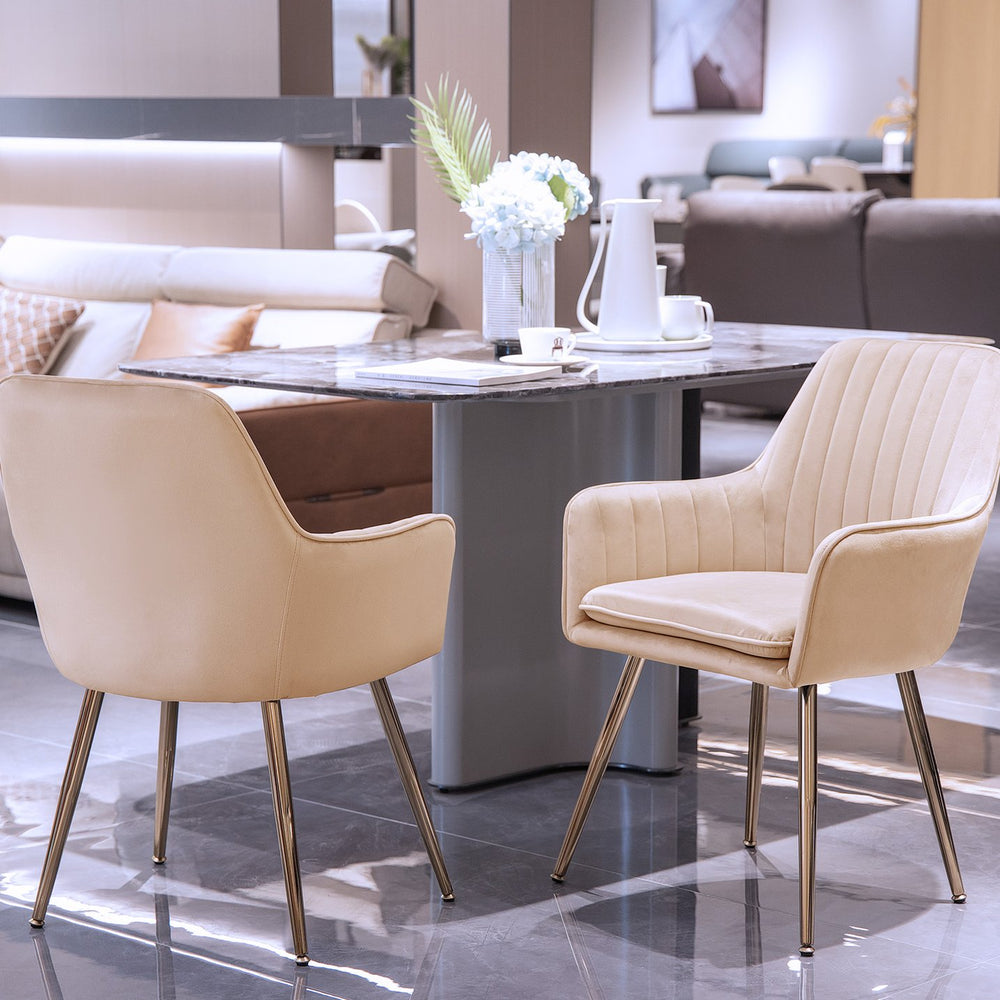 English Elm Velvet Mid-Back Dining Chairs Set of 2 with Gold Plated Legs, Plush Upholstery, Removable Cushions, Ergonomic Support Beige W3394P329173