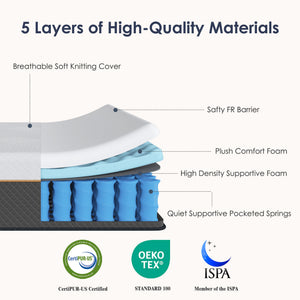 English Elm 10 Inch Full Hybrid Mattress Pocket Spring Memory Foam Medium Firm Edge Support W2889P452613