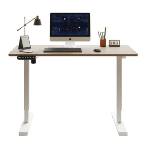 English Elm 55"×24" Electric Sit Stand Desk Steel Frame with Memory Presets and Usb-c Charging Port Oak W614P376317