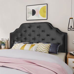 English Elm Tufted Queen Headboard with Nailhead Trim Solid Wood Frame and Adjustable Metal Legs Black 57877.00NVLTBLK