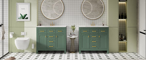 English Elm 72'' Modern Bathroom Vanity Set With Ceramic Sink, Ample Storage, Solid Wood Frame & Green Finish N710SS00011F