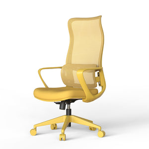 English Elm Ergonomic High Back Mesh Office Chair with Adjustable Lumbar Support and Molded Foam Seat Yellow W5280P463570