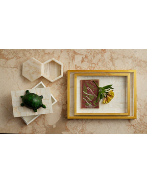 Currey & Company Casey Mother Of Pearl Tray Set - Elegant Decorative Trays With Gold Accents For Timeless Sophistication White Mother Of Pearl ,Stainless Steel ,Wood 1200-1021-currey-company