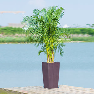English Elm 30 Inch Faux Rattan Tall Planter Self Watering Indoor Outdoor Patio Garden Pot W3213P311470