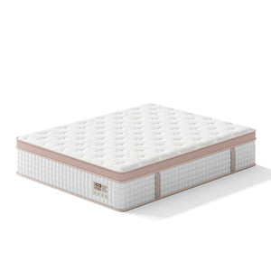 English Elm 12 Inch Queen Gel Foam Pocket Spring Hybrid Mattress Firm Support Spinal Relief B2716P455269